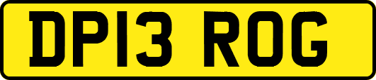 DP13ROG