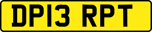 DP13RPT