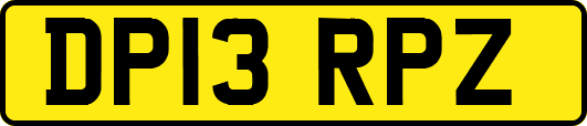 DP13RPZ