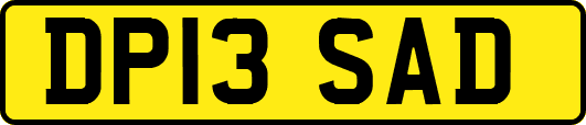 DP13SAD
