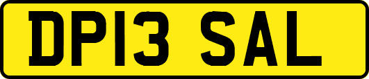 DP13SAL