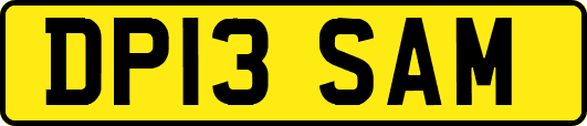 DP13SAM
