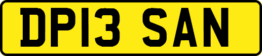 DP13SAN
