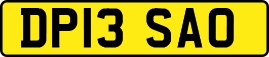 DP13SAO