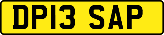 DP13SAP