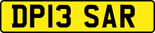 DP13SAR