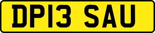 DP13SAU