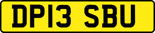 DP13SBU