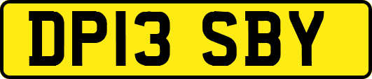 DP13SBY