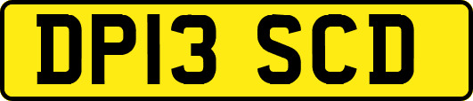 DP13SCD