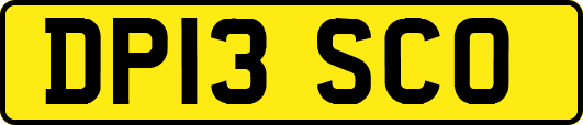 DP13SCO