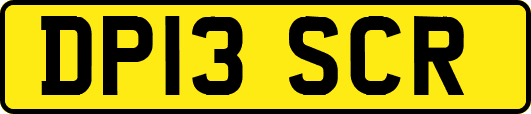 DP13SCR