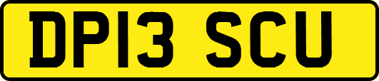 DP13SCU