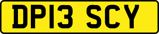 DP13SCY