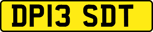 DP13SDT