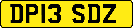 DP13SDZ