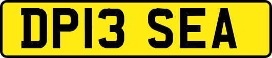 DP13SEA