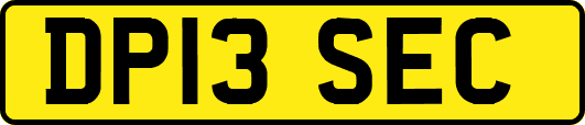 DP13SEC