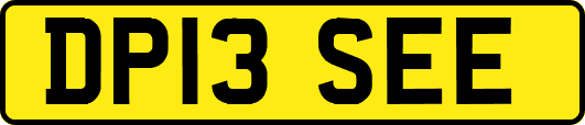 DP13SEE
