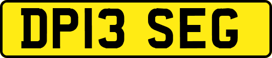 DP13SEG