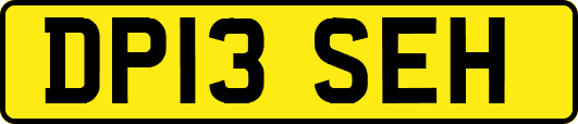 DP13SEH