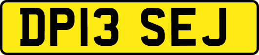 DP13SEJ