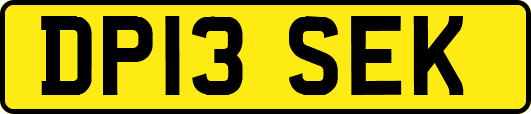 DP13SEK