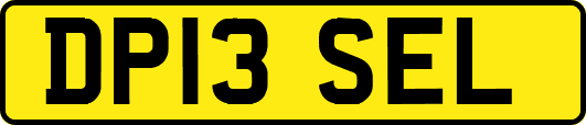 DP13SEL