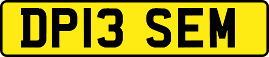 DP13SEM