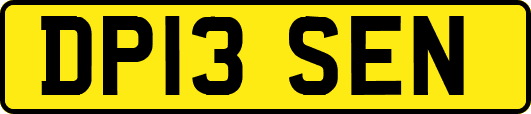 DP13SEN