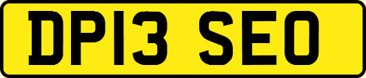 DP13SEO