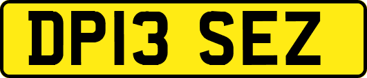 DP13SEZ