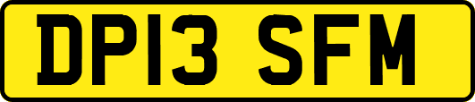 DP13SFM