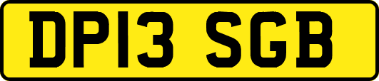 DP13SGB