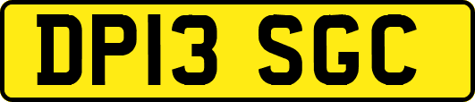 DP13SGC