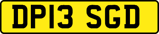 DP13SGD