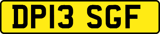 DP13SGF
