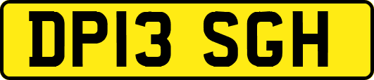 DP13SGH