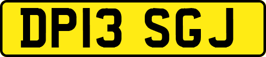 DP13SGJ