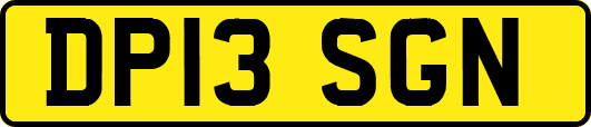 DP13SGN