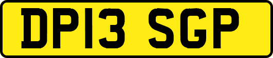 DP13SGP