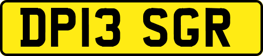 DP13SGR