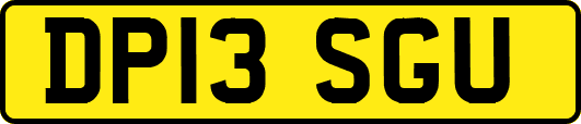 DP13SGU