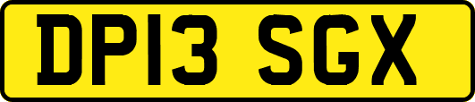 DP13SGX