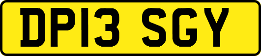 DP13SGY