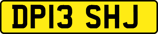 DP13SHJ