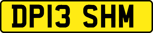 DP13SHM