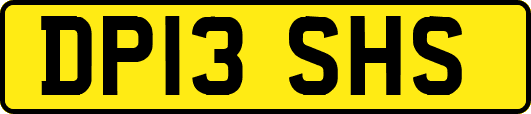 DP13SHS