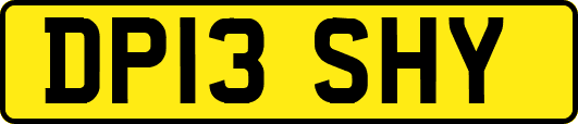 DP13SHY