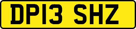 DP13SHZ